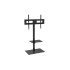 TV stand Focus Mount Fixed TS564D