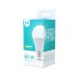 LED bulb E27 A60 10W 230V 3000K 806lm Forever Light RTV003455
