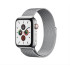 Magnetic Strap Watch Strap 6/5/4/3/2/SE(44mm / 42mm) Bracelet Silver