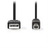 Καλώδιο USB High-Speed A αρσ. - USB B αρσ., 2.00m