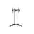 TV Stand Focus Mount Fixed T176
