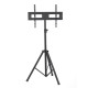 TV Stand Focus Mount Fixed TS564