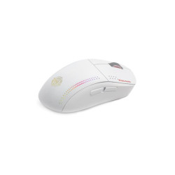 Mouse Wired/Wireless Zeroground RGB MS-4300WG KIMURA v3.0 White