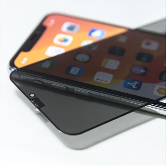 Tempered glass Privacy for Samsung Galaxy S21 FE 5G OEM101111