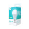 LED bulb E27 A60 10W 230V 3000K 806lm Forever Light RTV003455 LED bulb E27 A60 10W 230V 3000K 806lm Forever Light RTV003455