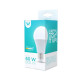 LED bulb E27 A60 10W 230V 3000K 806lm Forever Light RTV003455