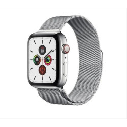 Magnetic Strap Watch Strap 6/5/4/3/2/SE(44mm / 42mm) Bracelet Silver