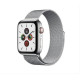 Magnetic Strap Watch Strap 6/5/4/3/2/SE(44mm / 42mm) Bracelet Silver