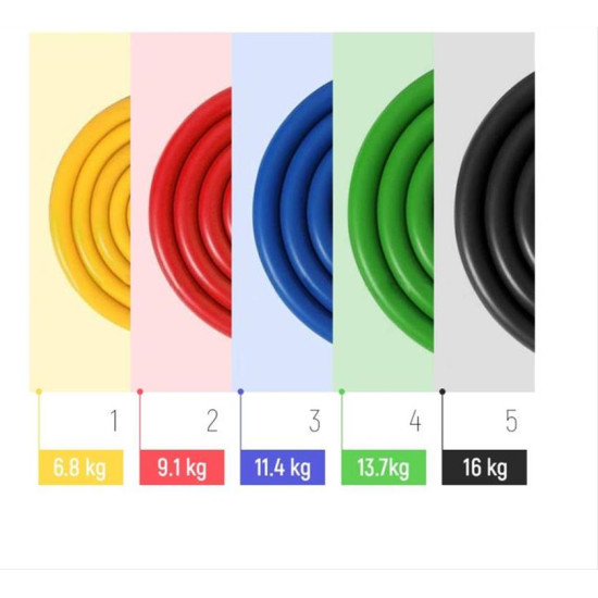 Wozinsky Set of 5 Fitness Bands Exercise Expander + Accessories (WRTS5-01) Wozinsky Set of 5 Fitness Bands Exercise Expander + Accessories (WRTS5-01)