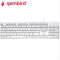 GEMBIRD MULTIMEDIA CHOCOLATE KEYBOARD USB US LAYOUT WHITE