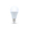 LED bulb E27 A60 10W 230V 4500K 806lm Forever Light