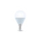 LED bulb E14 G45 6W 4500K 480lm Forever Light