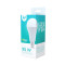 LED bulb E27 A65 15W 230V 6000K 1470lm Forever Light