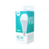LED bulb E27 A65 15W 230V 6000K 1470lm Forever Light