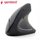 GEMBIRD WIRELESS ERGONOMIC 6-BUTTON OPTICAL MOUSE BLACK