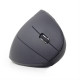 GEMBIRD WIRELESS ERGONOMIC 6-BUTTON OPTICAL MOUSE BLACK