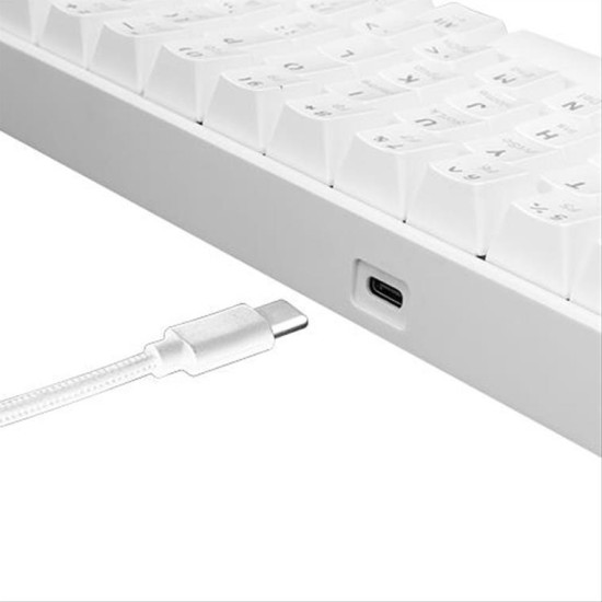 WHITE SHARK MECHANICAL KEYBOARD SHINOBI WHITE GK-2022 WHITE SHARK MECHANICAL KEYBOARD SHINOBI WHITE GK-2022