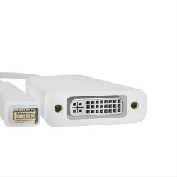 Qoltec Mini DVI Adapter male | DVI (24 + 5) female | 0.17m 50517 Qoltec Mini DVI Adapter male | DVI (24 + 5) female | 0.17m 50517