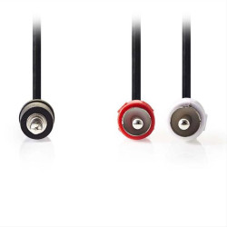 Καλώδιο 2 x RCA αρσ. - 3,5mm Stereo αρσ, 3m. NEDIS CAGP22200BK30