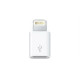 Adapter Apple MD820ZM/A white bulk