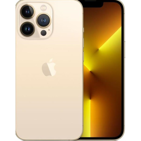 Apple iPhone 13 Pro Max 5G (6GB/1.0TB) Gold Refurbished Grade A
