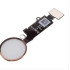 Για iPhone 7 / 8 Home Button Gold / White